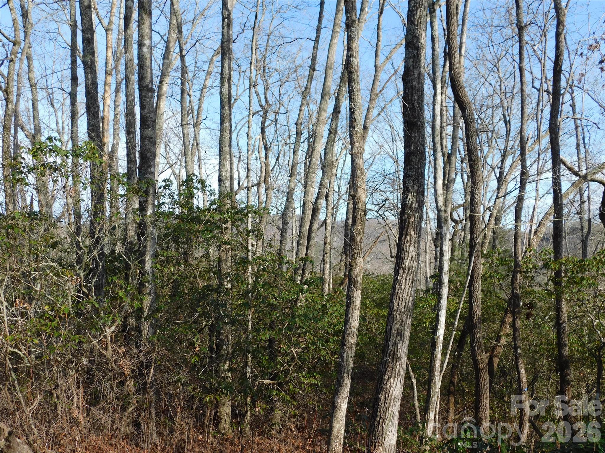 154 Laurel Thicket Drive Brevard NC 28712
