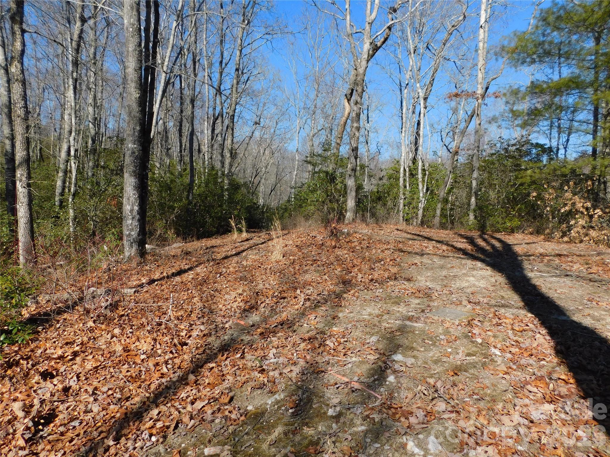154 Laurel Thicket Drive Brevard NC 28712