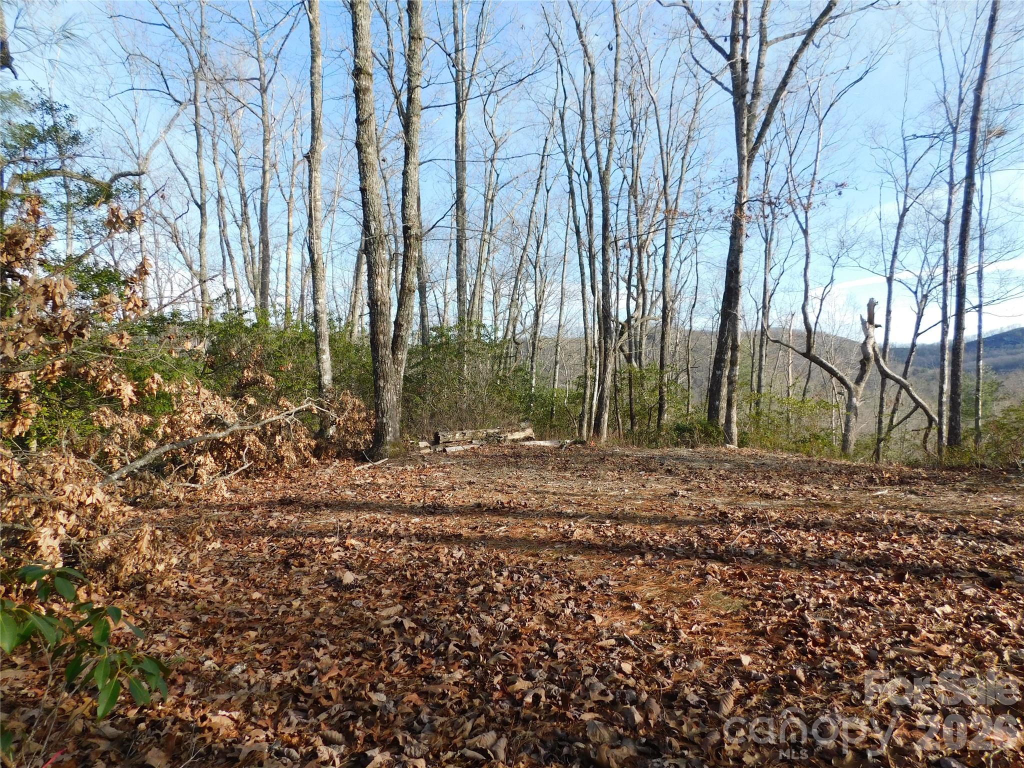 154 Laurel Thicket Drive Brevard NC 28712