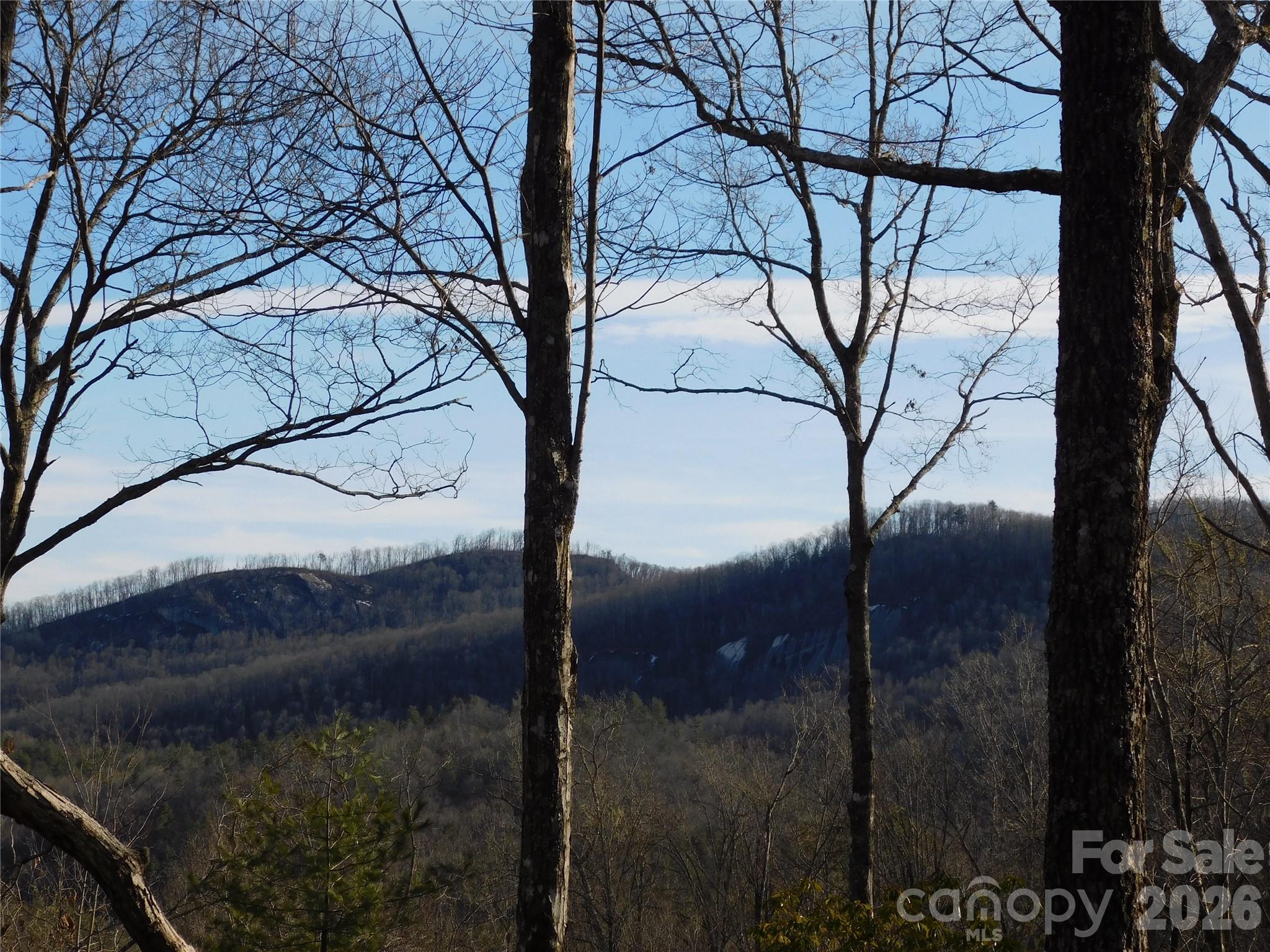 154 Laurel Thicket Drive Brevard NC 28712