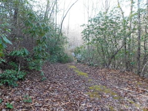 154 Laurel Thicket Drive Brevard NC 28712