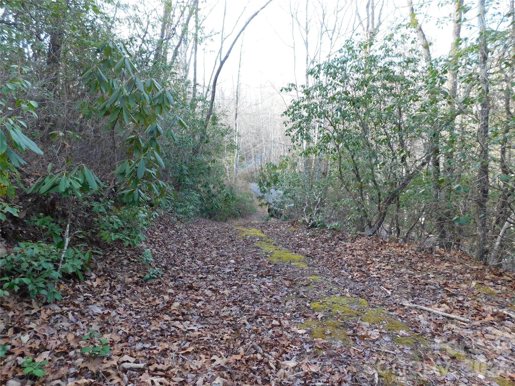 154 Laurel Thicket Drive Brevard NC 28712