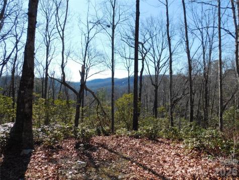 154 Laurel Thicket Drive Brevard NC 28712
