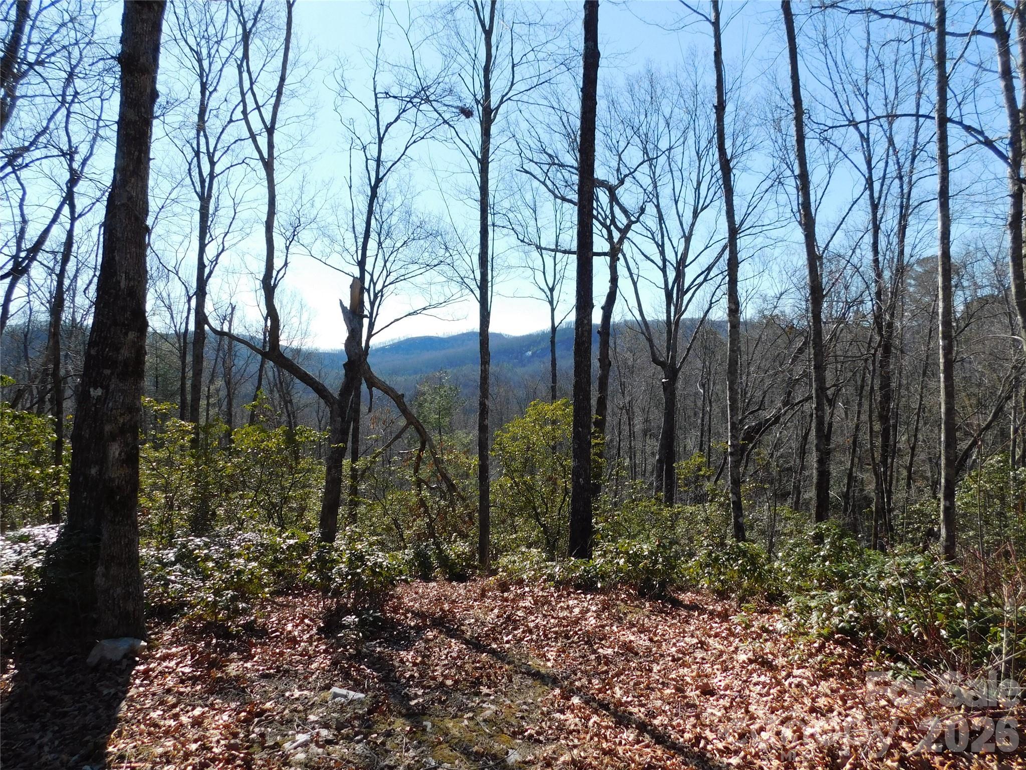 154 Laurel Thicket Drive Brevard NC 28712