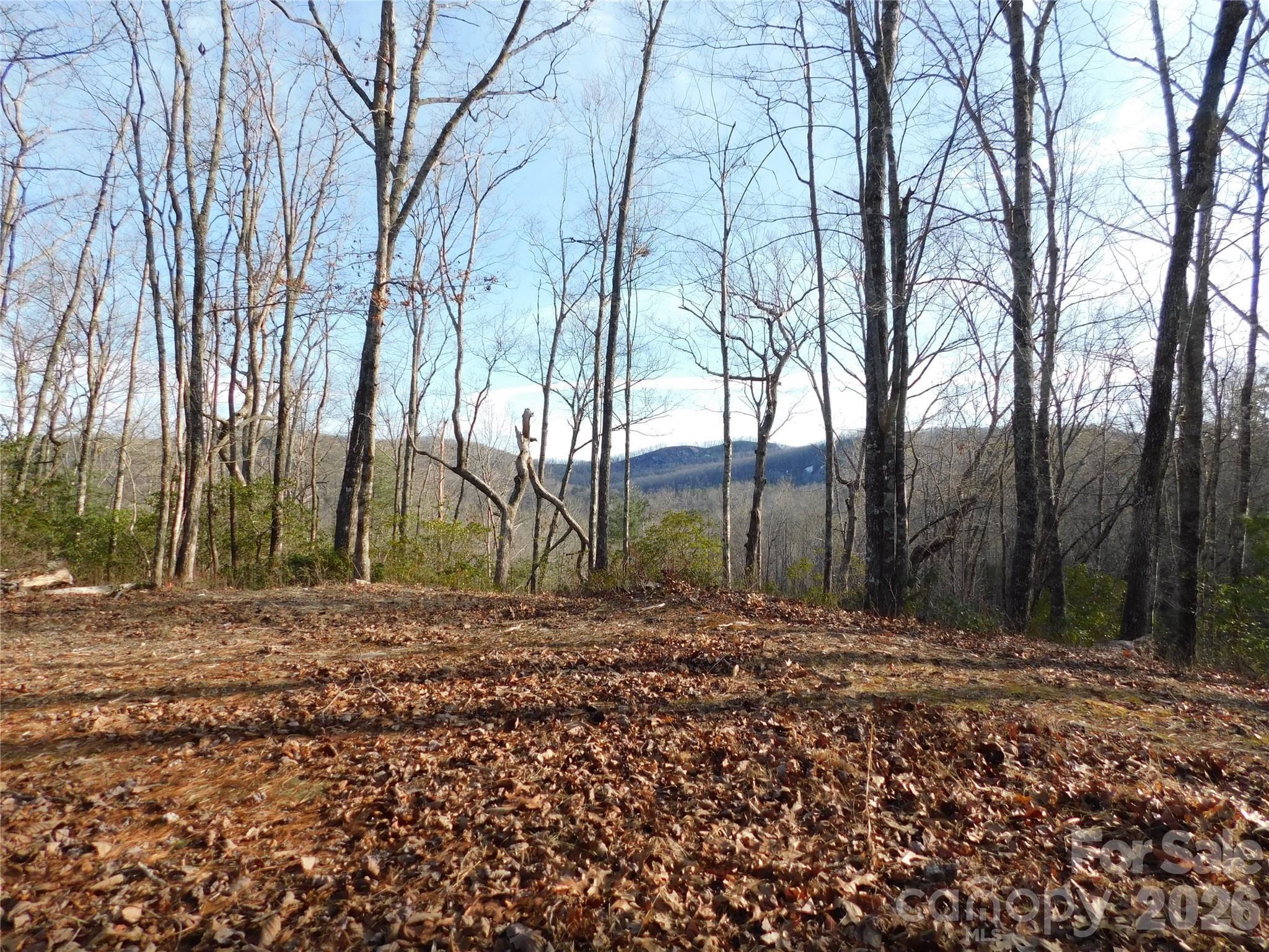 154 Laurel Thicket Drive Brevard NC 28712