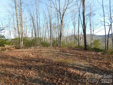 154 Laurel Thicket Drive Brevard NC 28712