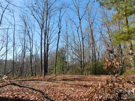 154 Laurel Thicket Drive Brevard NC 28712