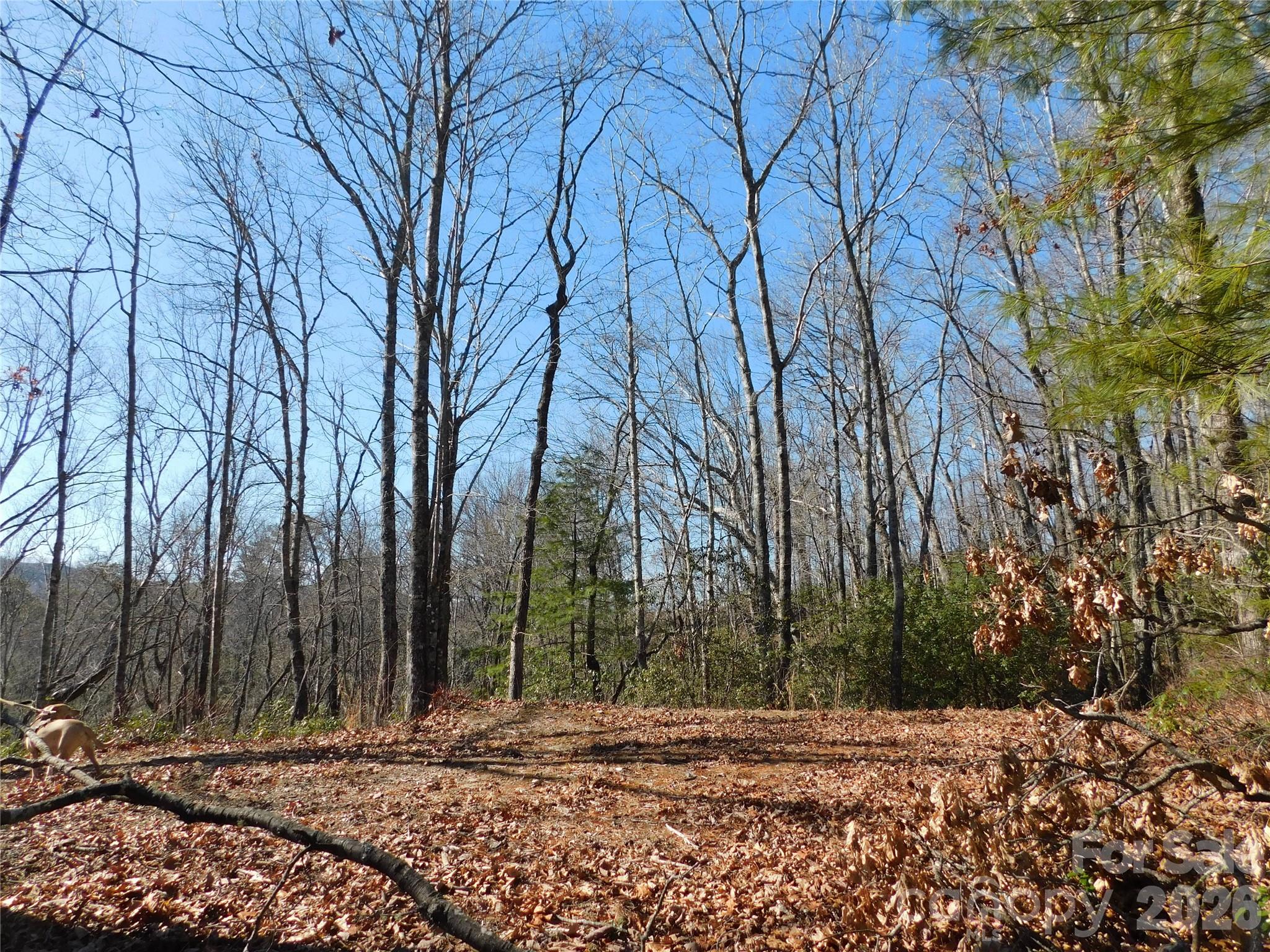 154 Laurel Thicket Drive Brevard NC 28712