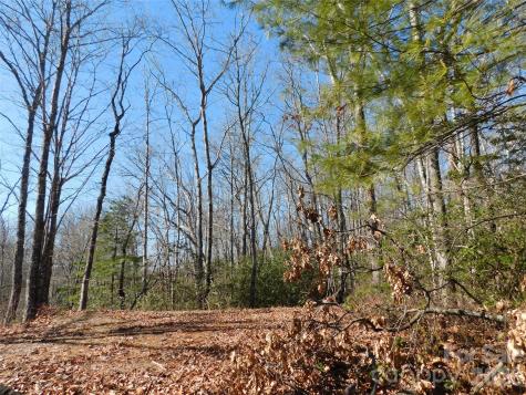 154 Laurel Thicket Drive Brevard NC 28712