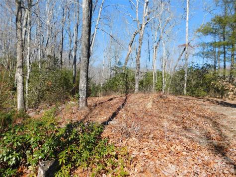 154 Laurel Thicket Drive Brevard NC 28712