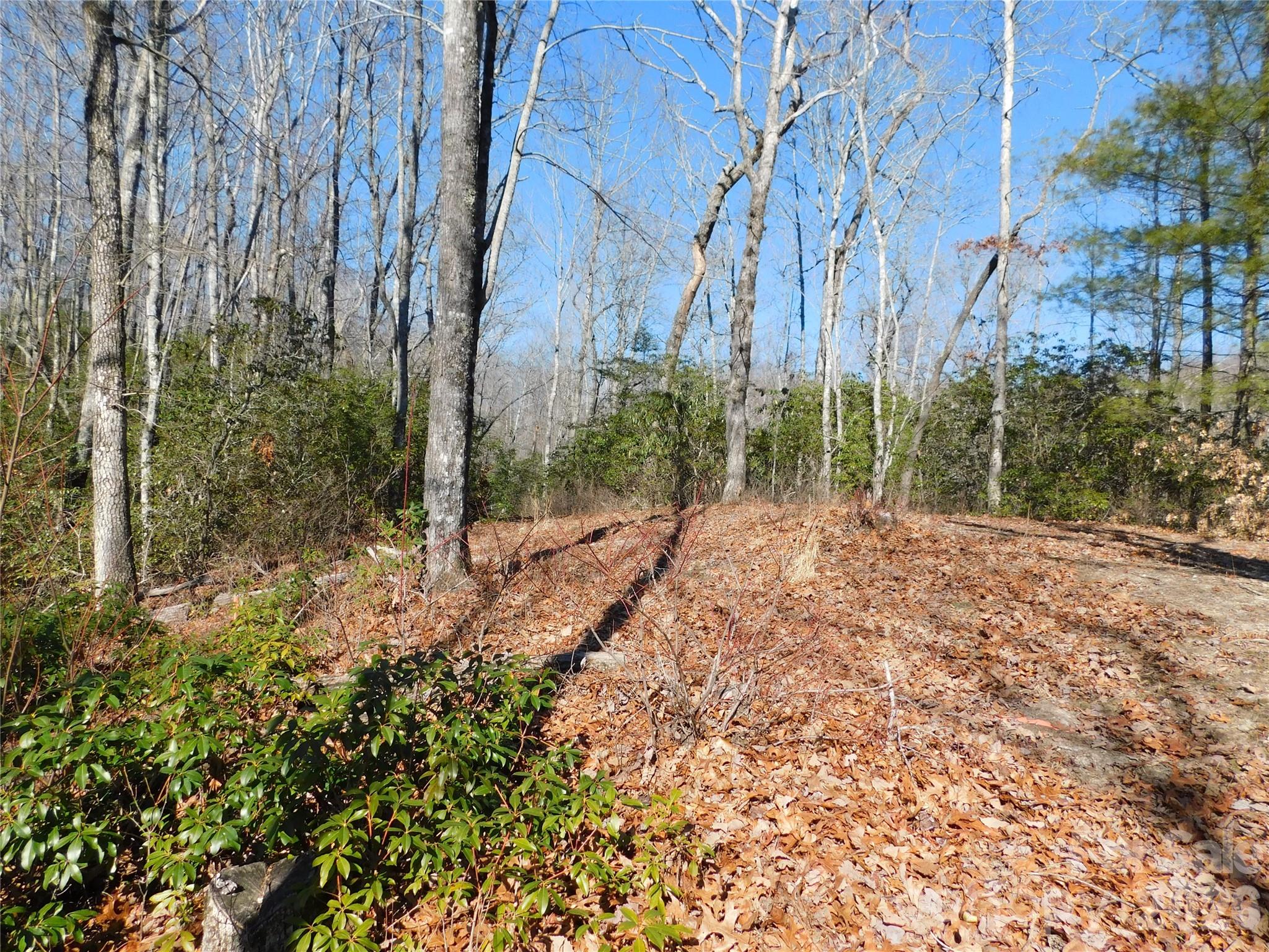 154 Laurel Thicket Drive Brevard NC 28712