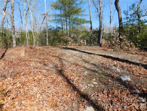 154 Laurel Thicket Drive Brevard NC 28712