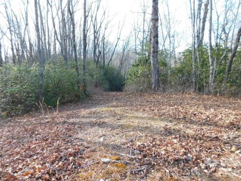 154 Laurel Thicket Drive Brevard NC 28712