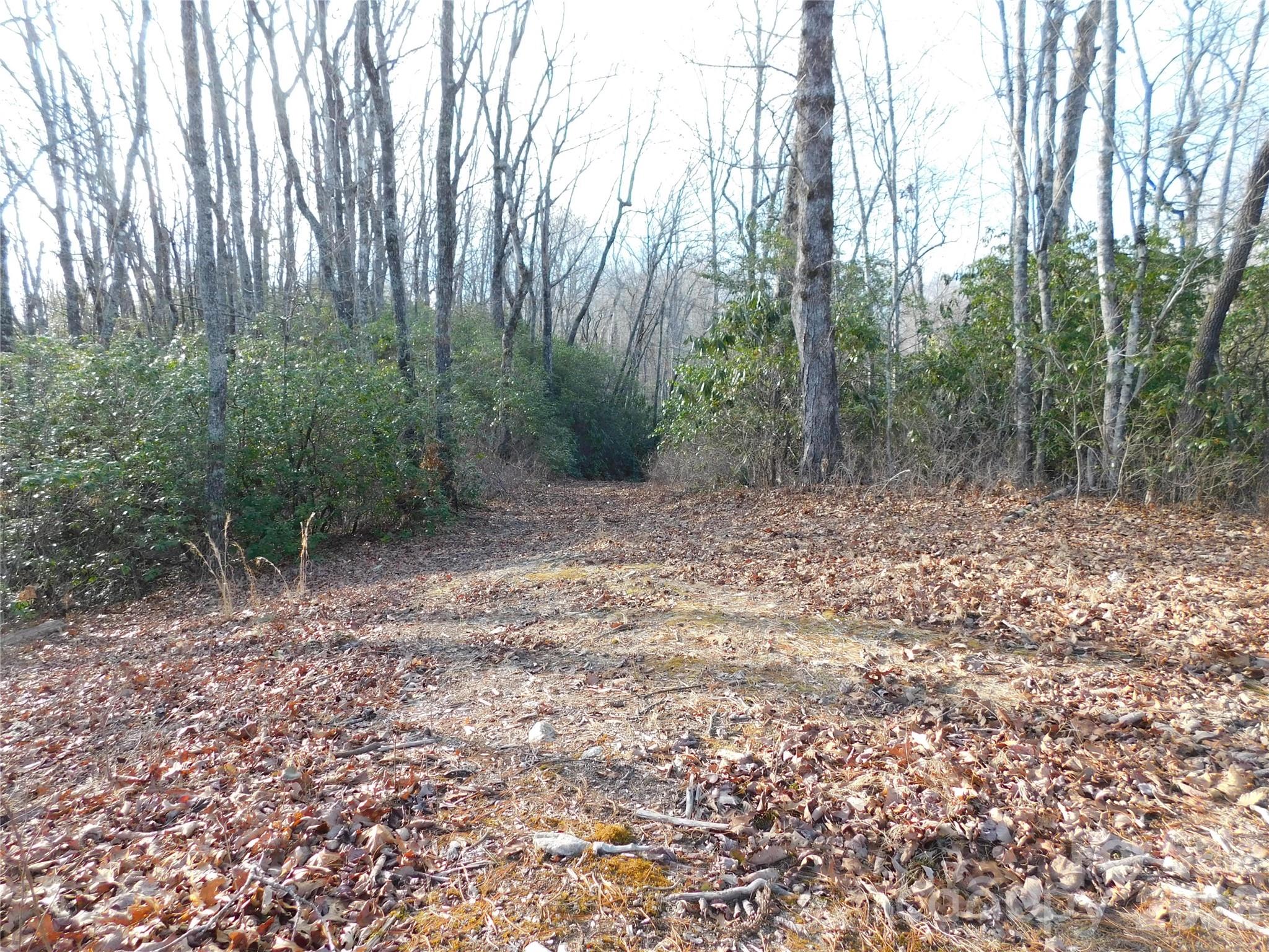 154 Laurel Thicket Drive Brevard NC 28712