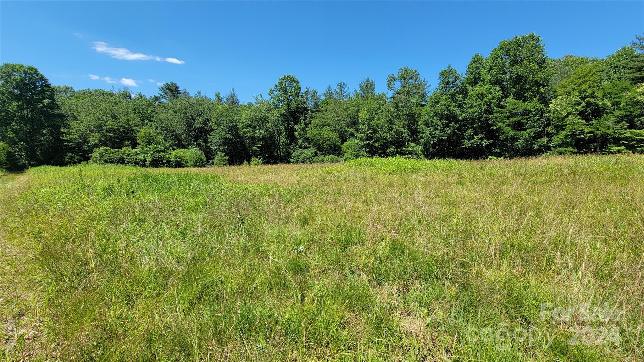 90 Mystic Mountain Drive Brevard NC 28712