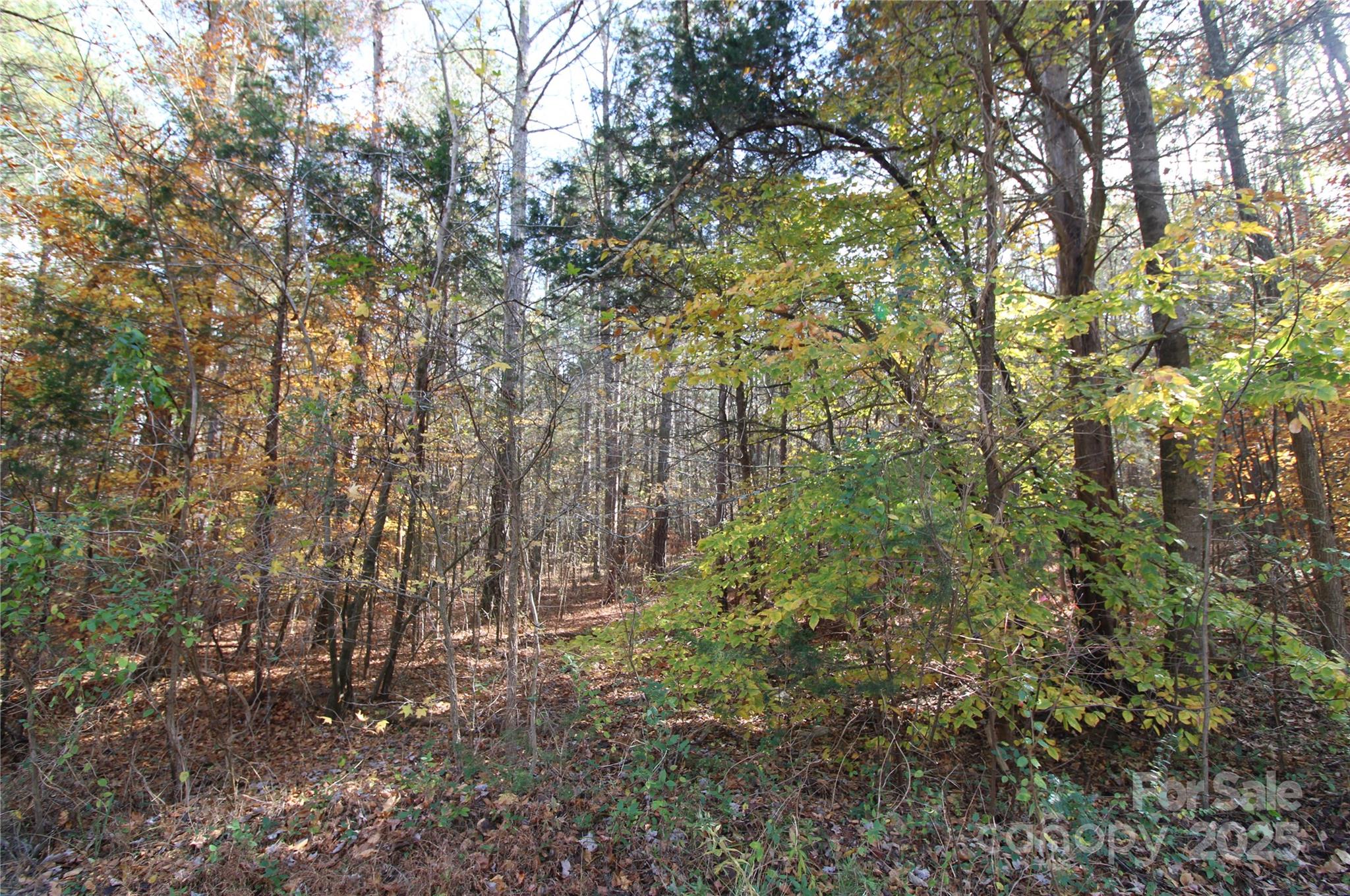 6.5+/-AC Bookout Road Rock Hill SC 29730