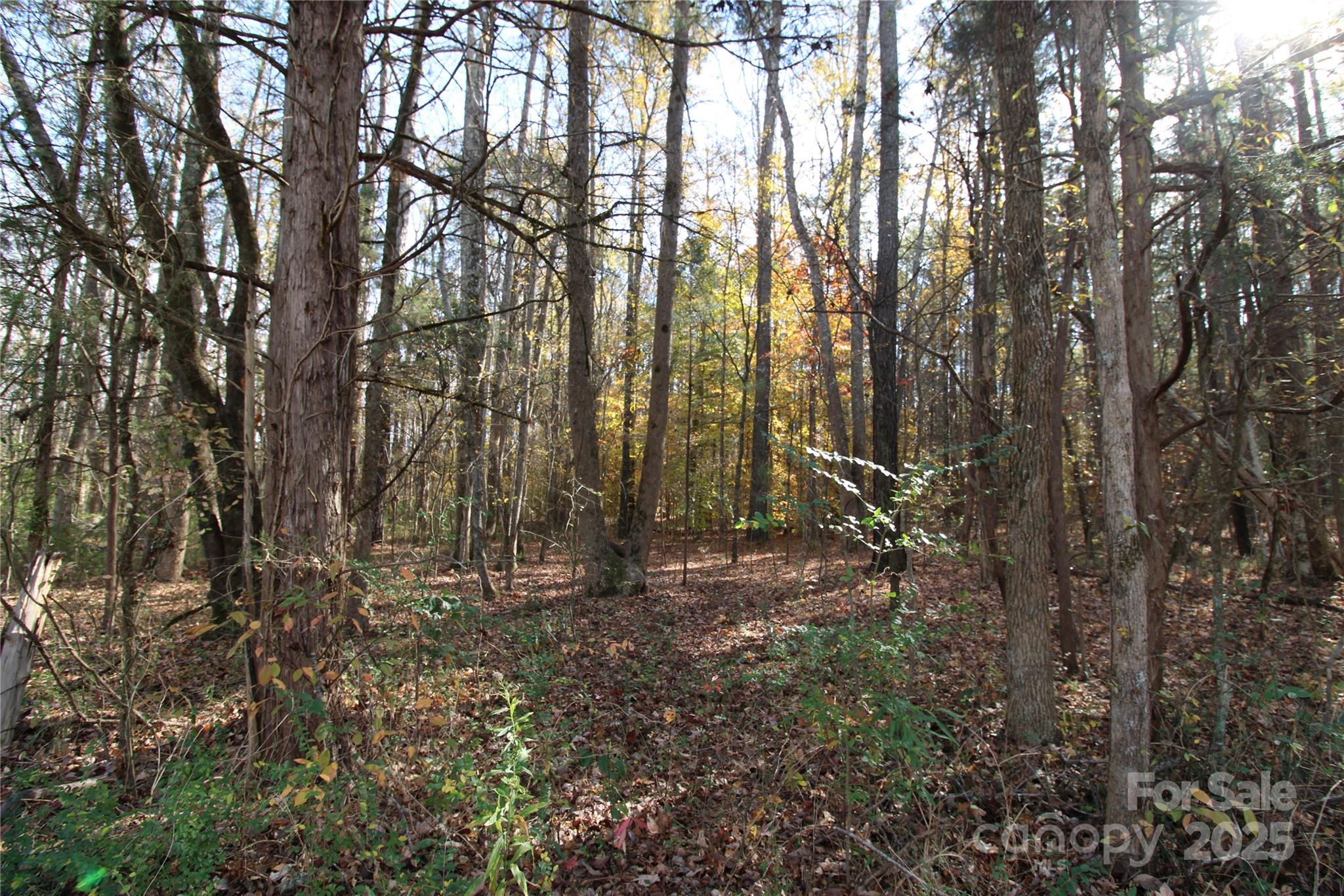 6.5+/-AC Bookout Road Rock Hill SC 29730