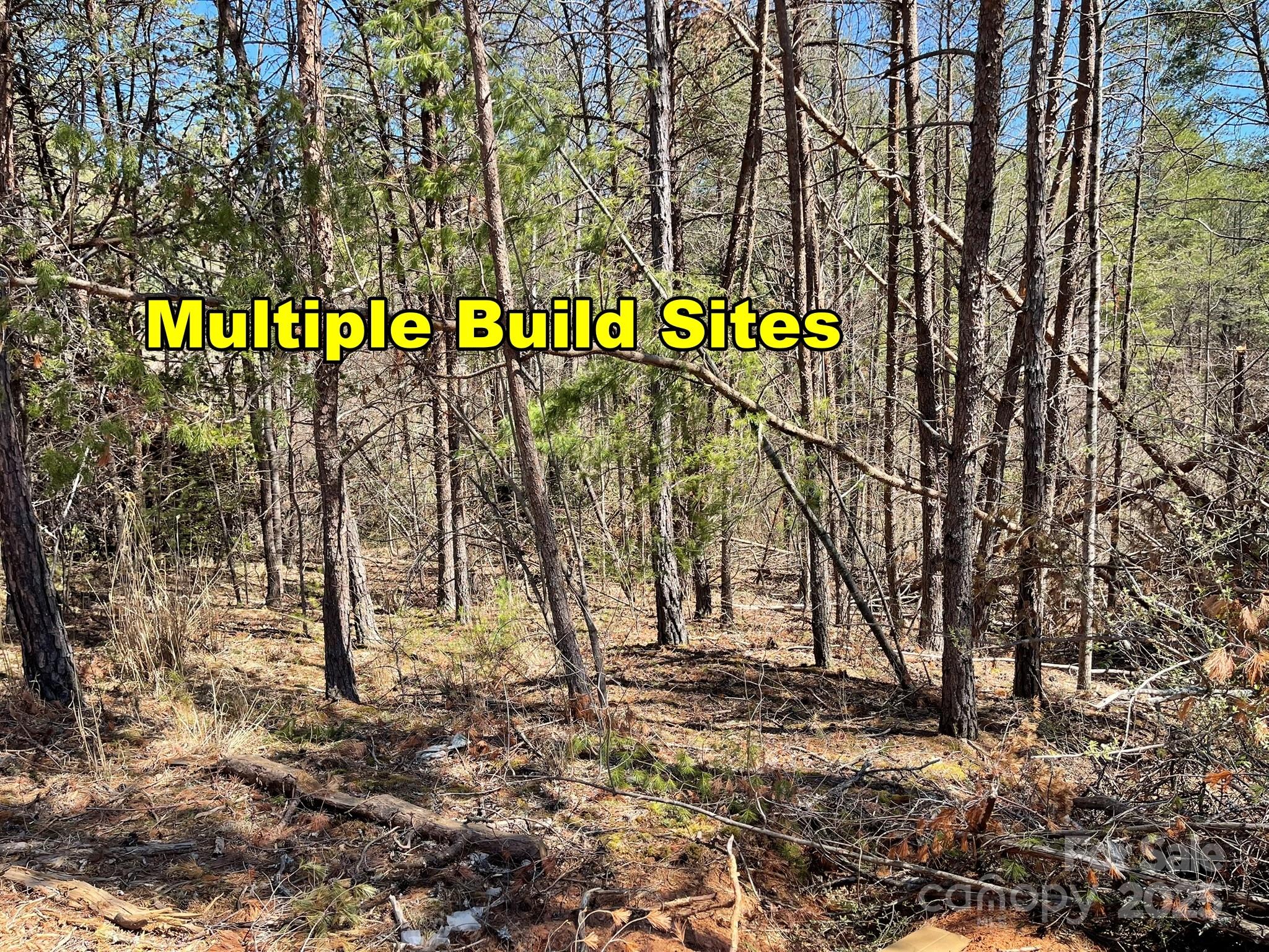 85 Union Chapel Road Weaverville NC 28787