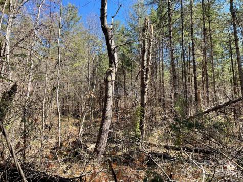 85 Union Chapel Road Weaverville NC 28787