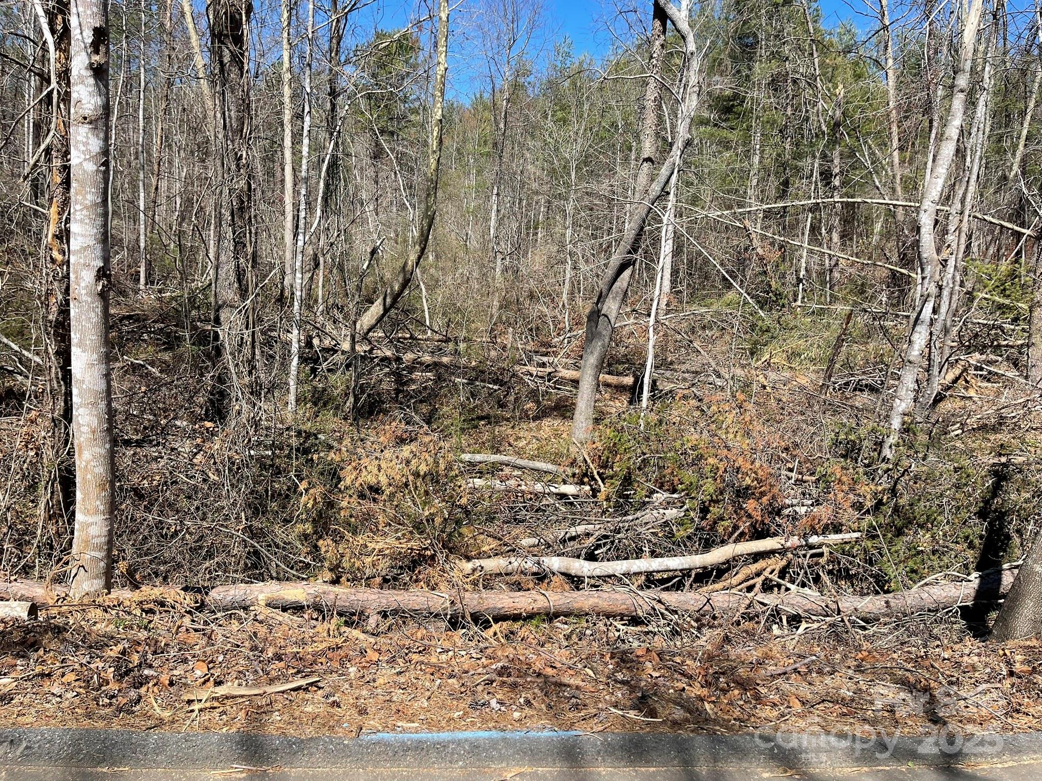 85 Union Chapel Road Weaverville NC 28787