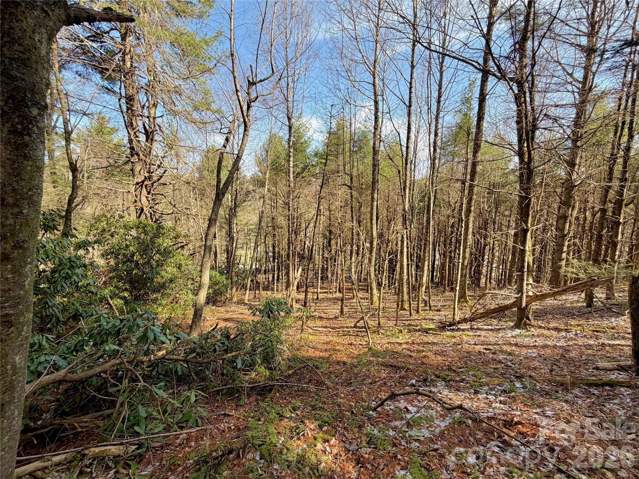 Tbd George Hayes Road Boone NC 28607