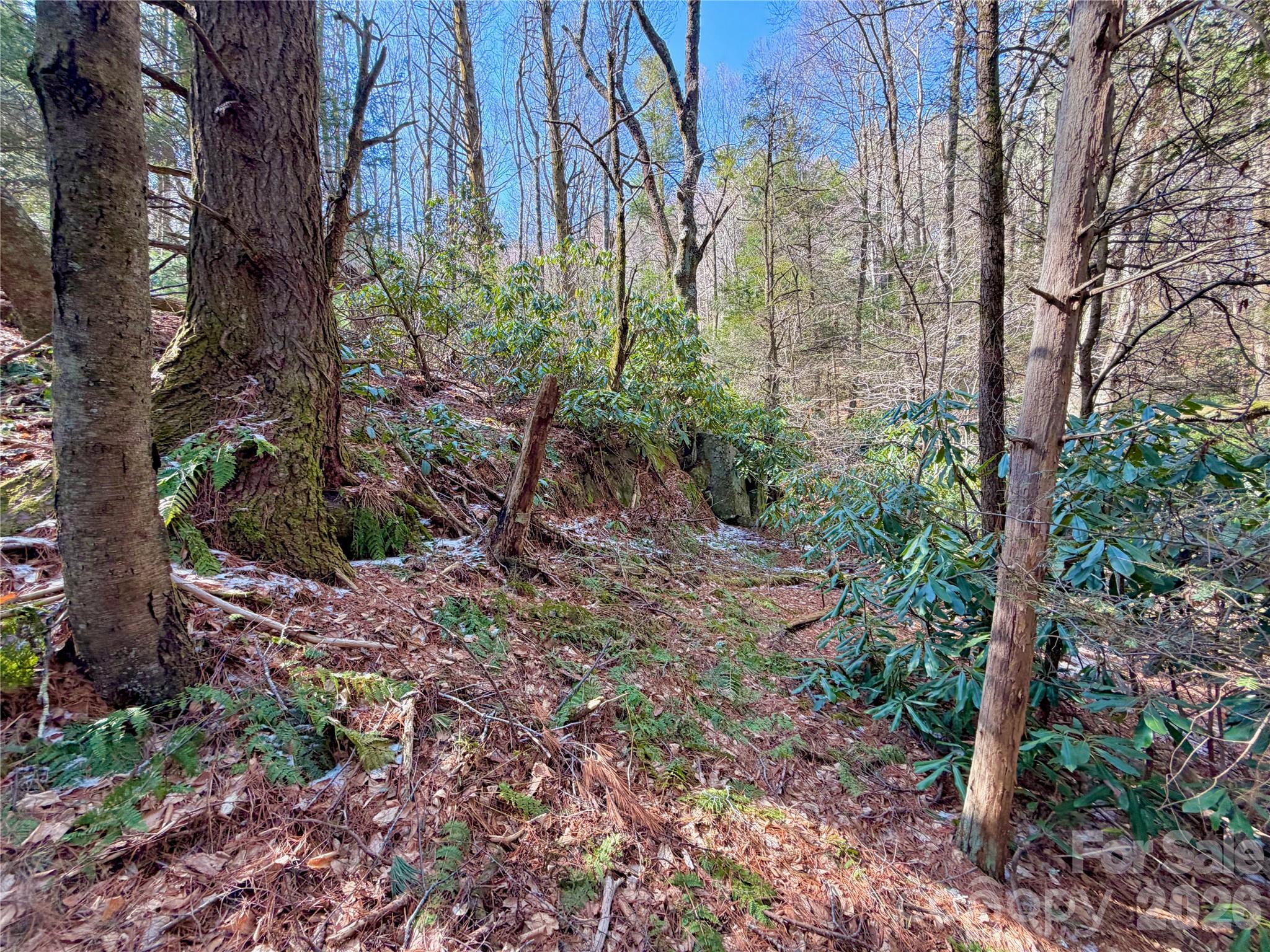 Tbd George Hayes Road Boone NC 28607