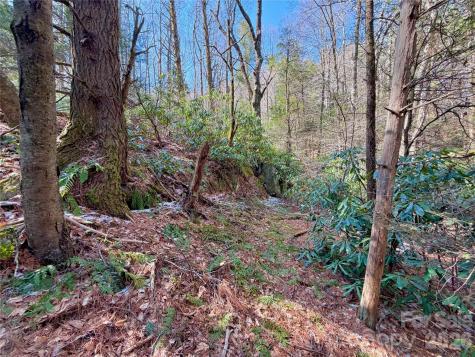 Tbd George Hayes Road Boone NC 28607