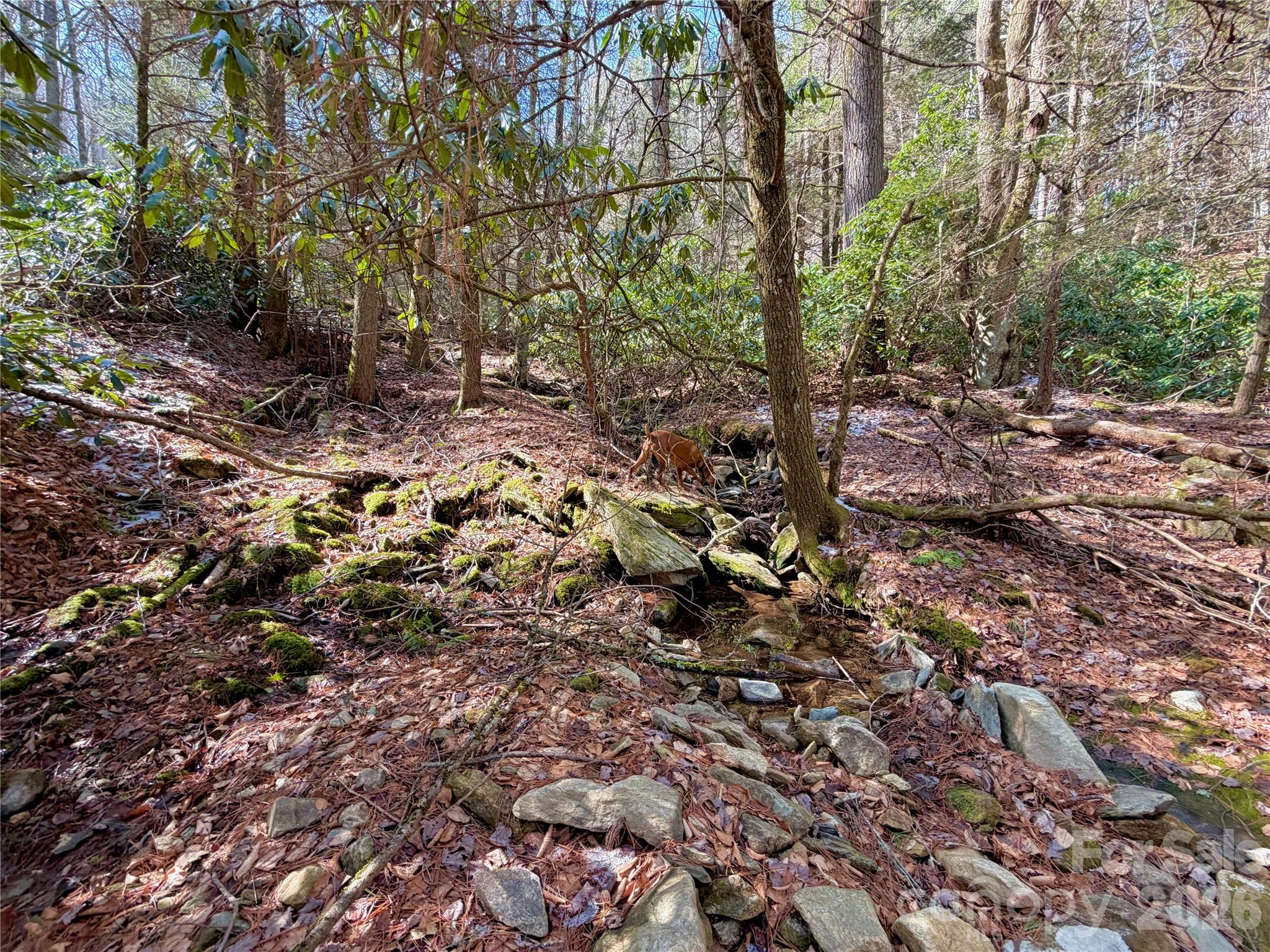 Tbd George Hayes Road Boone NC 28607