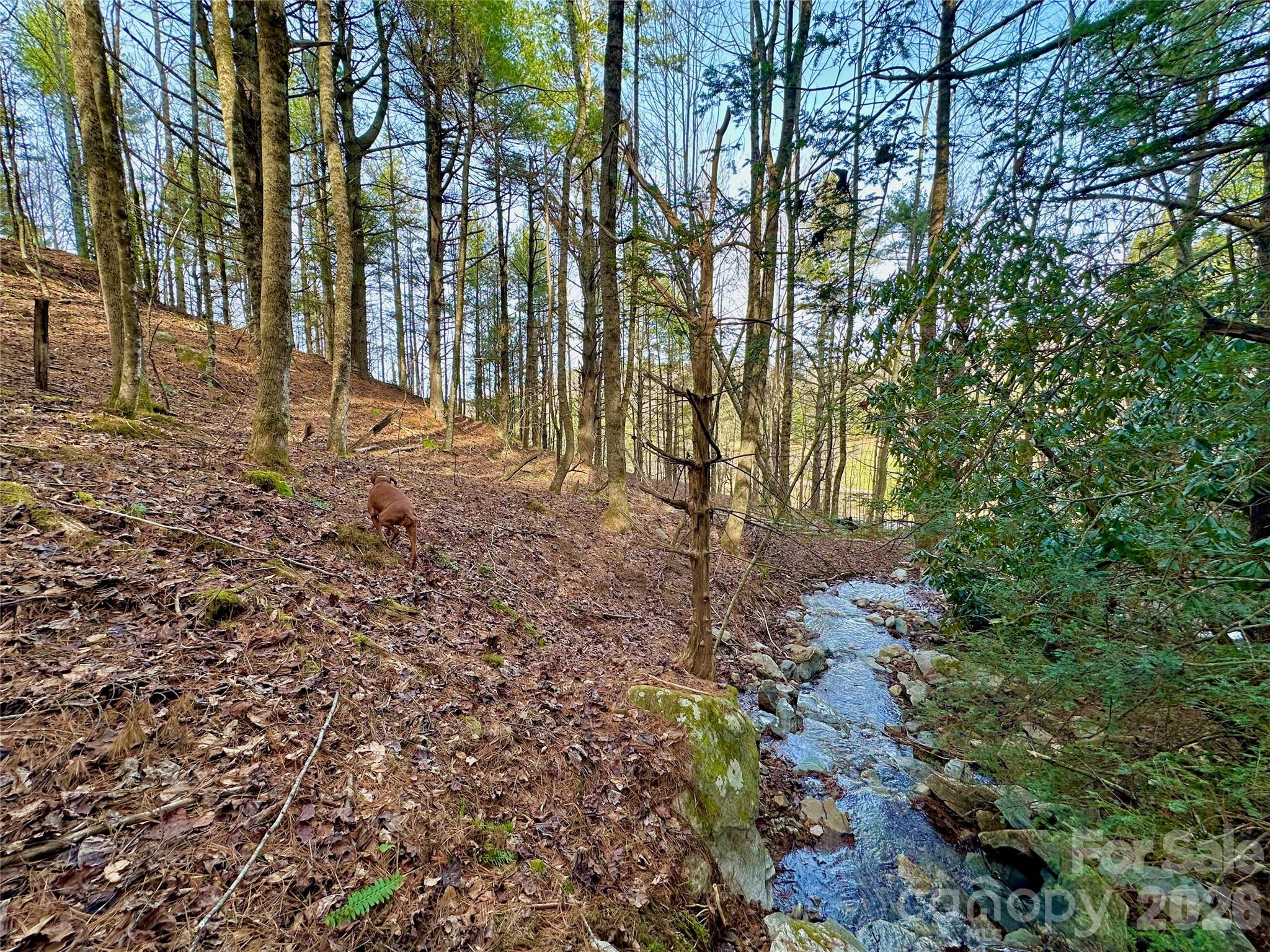 Tbd George Hayes Road Boone NC 28607