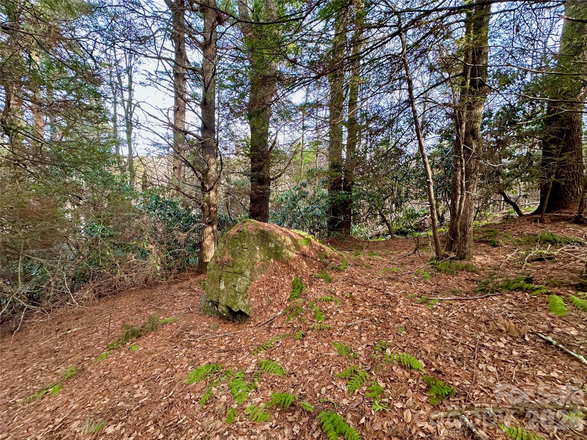 Tbd George Hayes Road Boone NC 28607