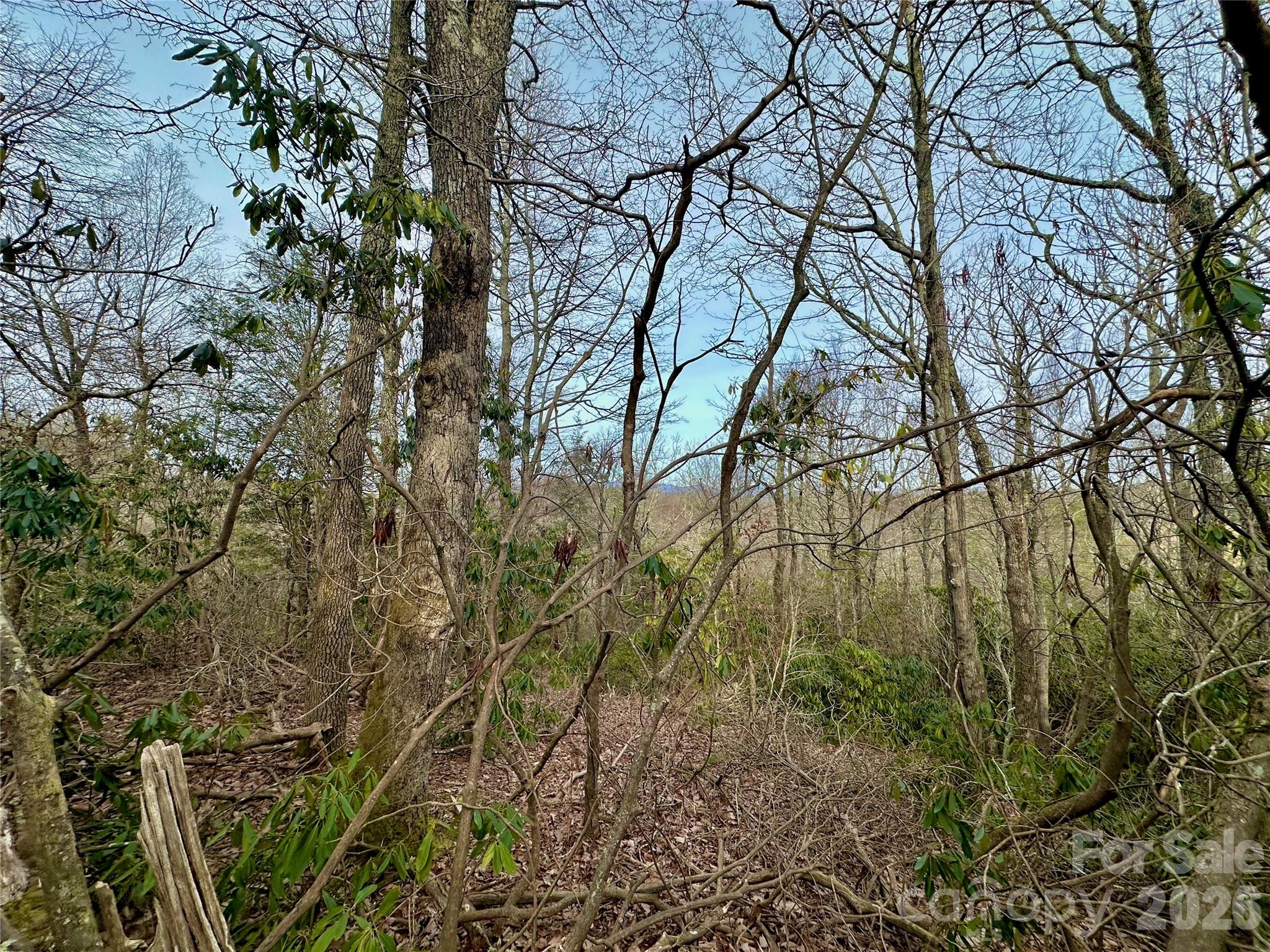 Tbd George Hayes Road Boone NC 28607