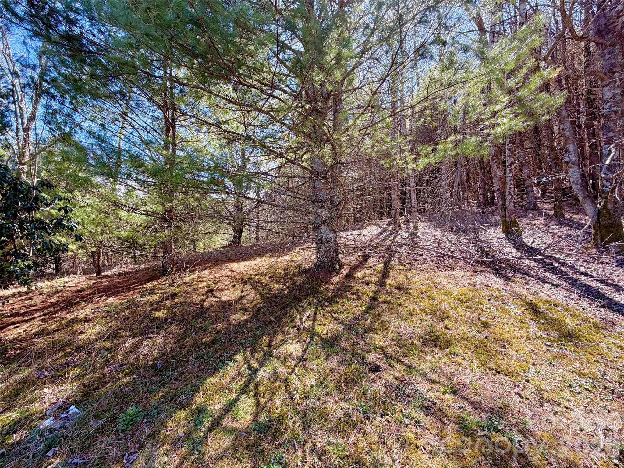Tbd George Hayes Road Boone NC 28607