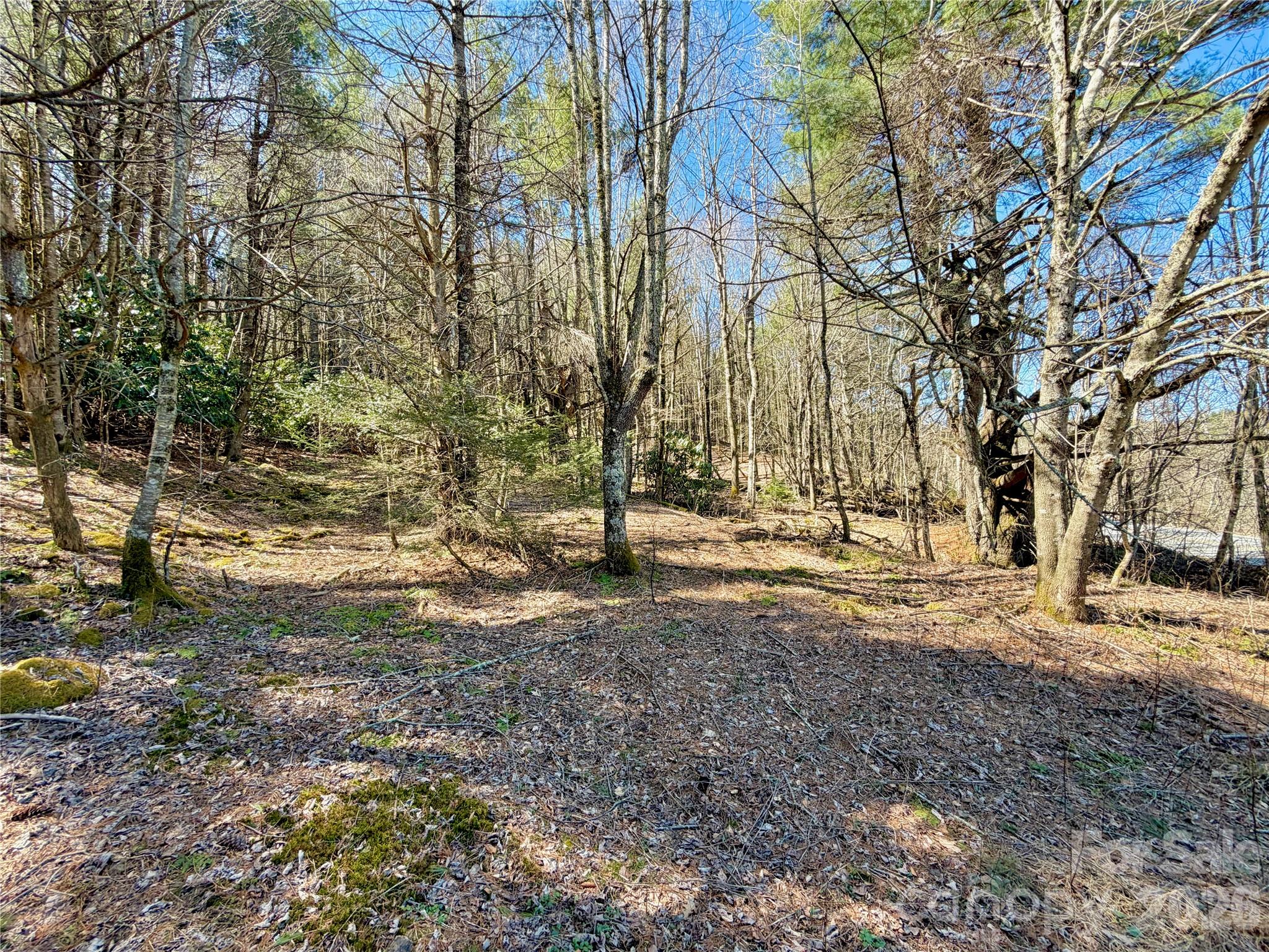 Tbd George Hayes Road Boone NC 28607