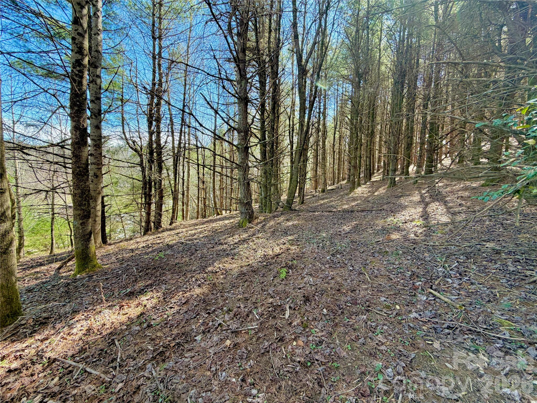 Tbd George Hayes Road Boone NC 28607