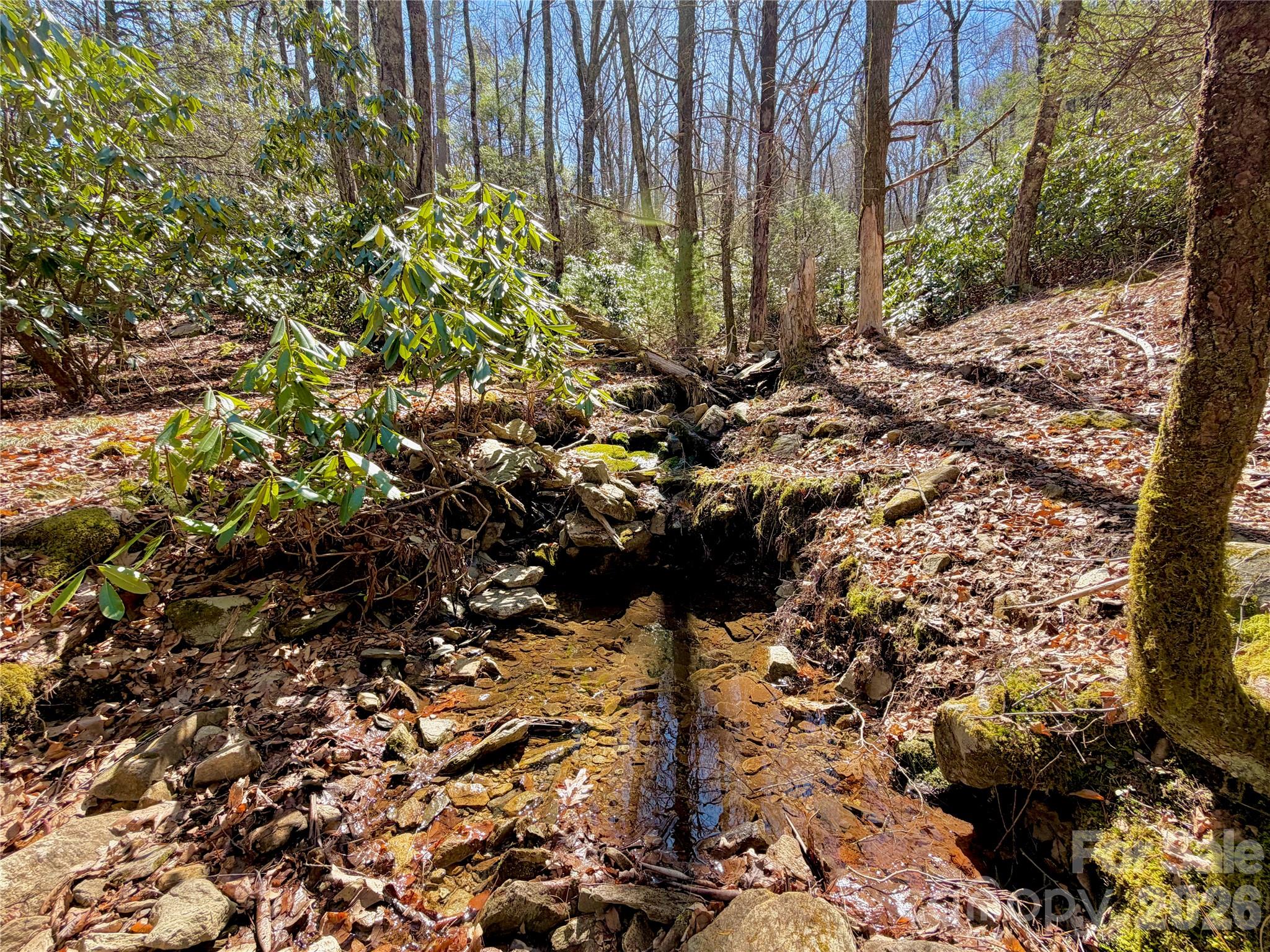 Tbd George Hayes Road Boone NC 28607