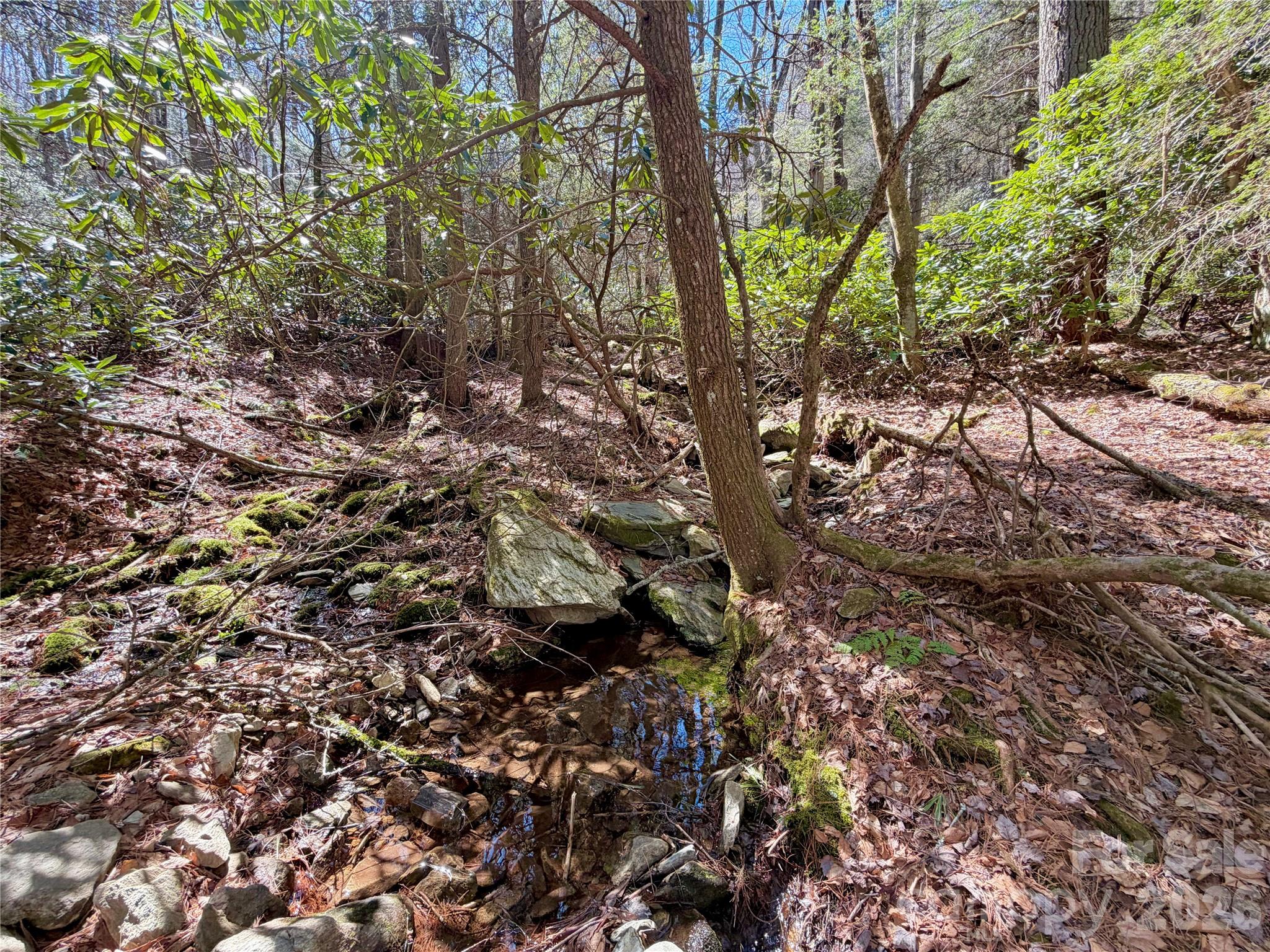 Tbd George Hayes Road Boone NC 28607