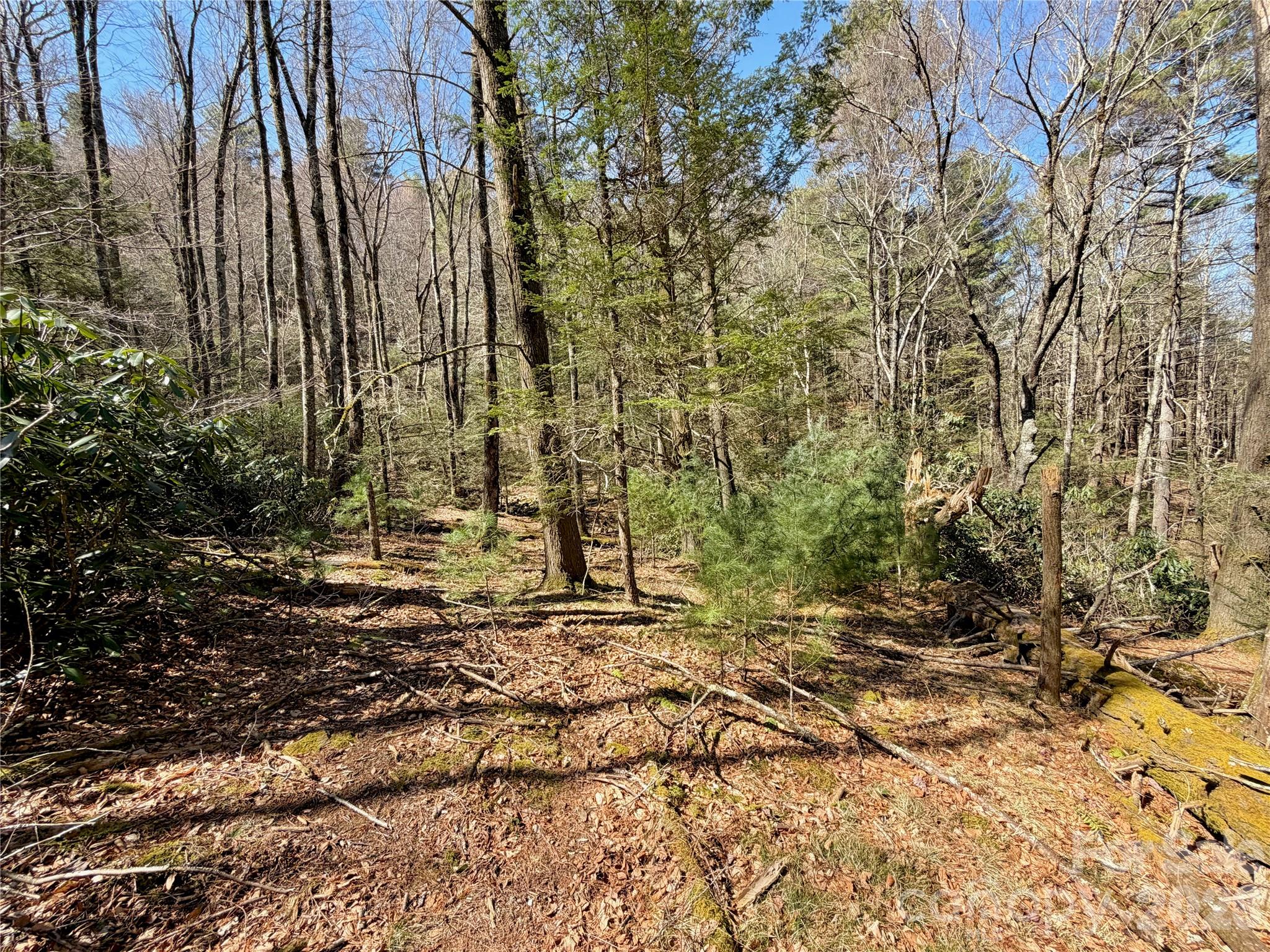 Tbd George Hayes Road Boone NC 28607