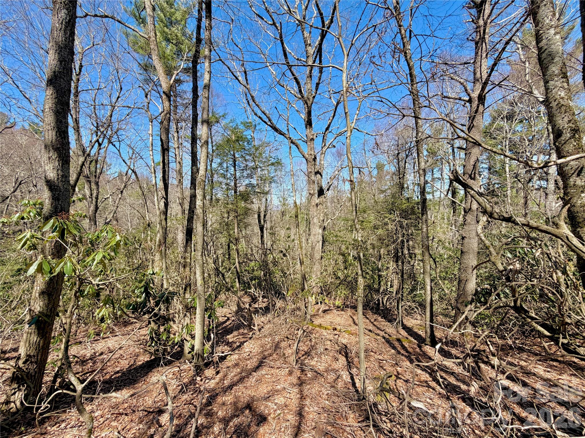 Tbd George Hayes Road Boone NC 28607