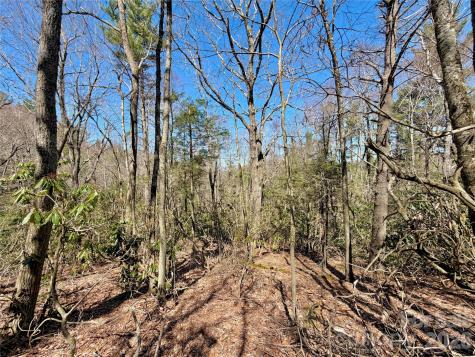 Tbd George Hayes Road Boone NC 28607