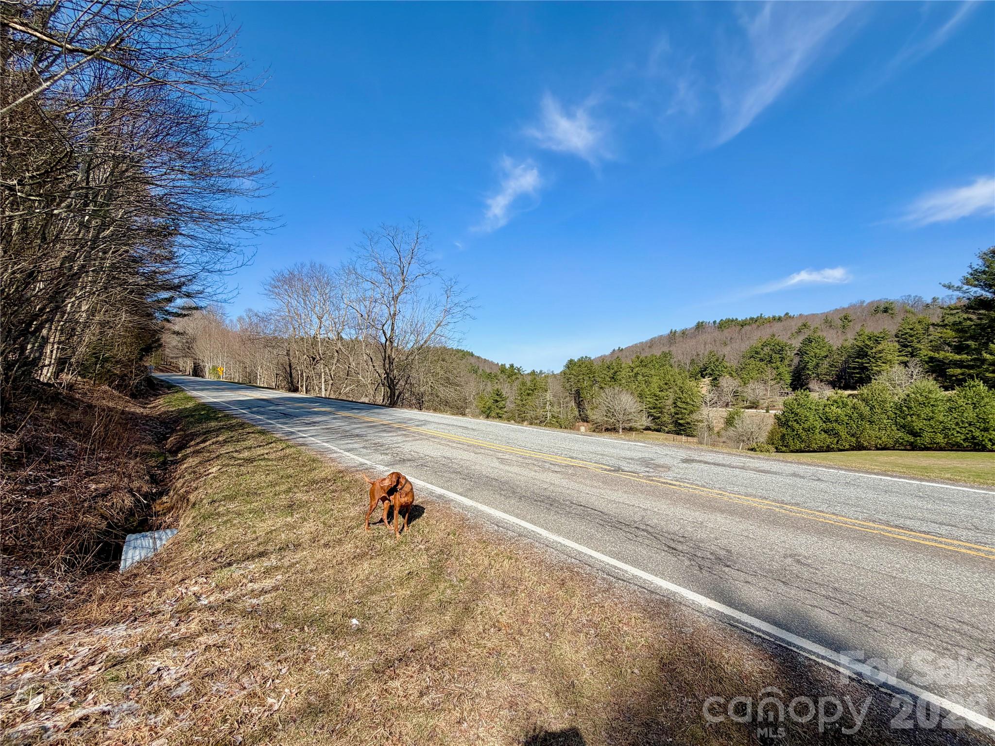 Tbd George Hayes Road Boone NC 28607