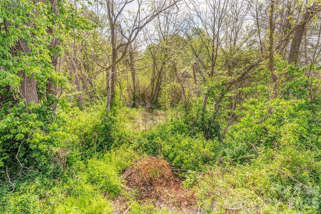 99999 Deavermont Circle Asheville NC 28806