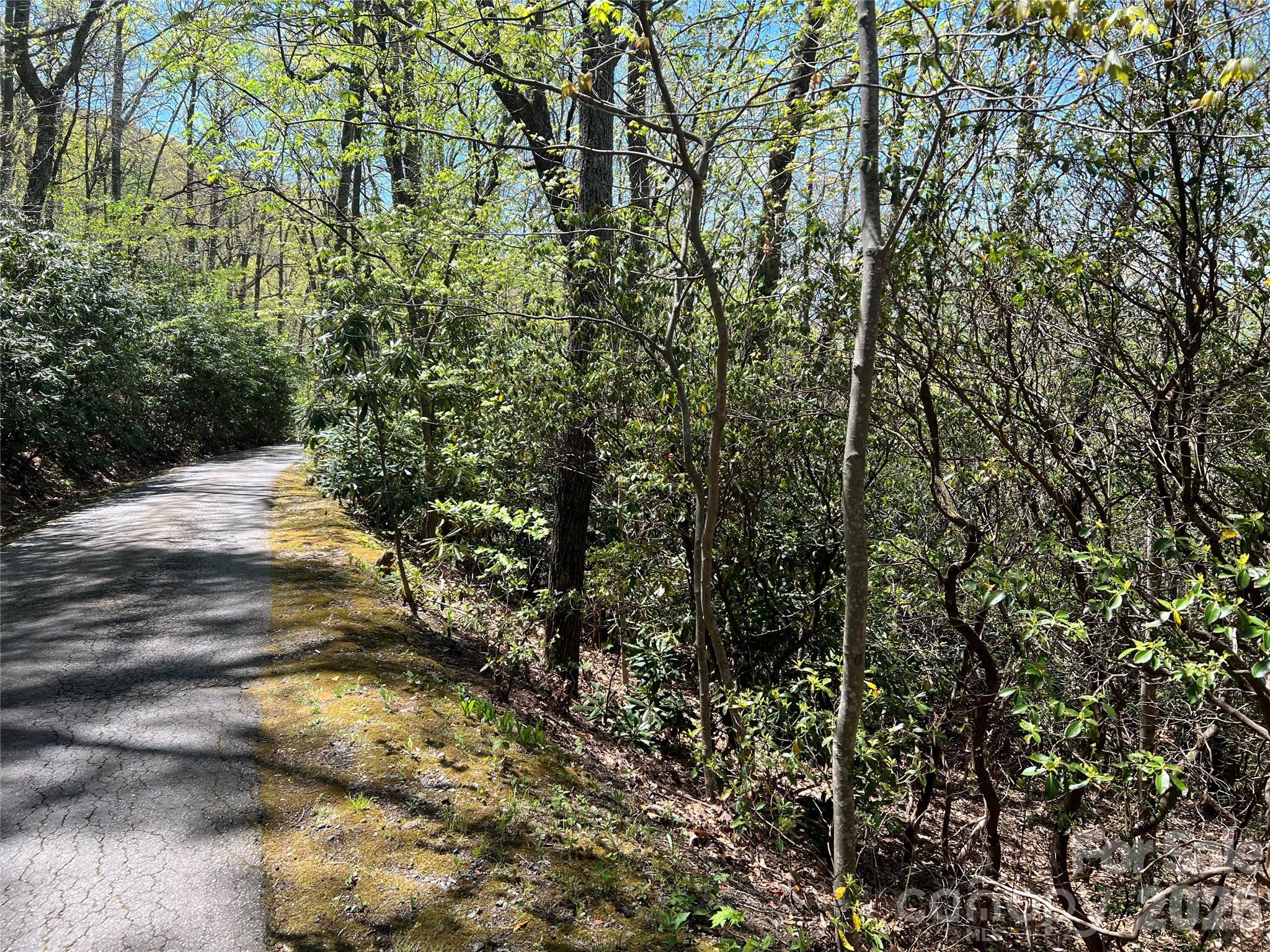 99999 Summer Haven Road Swannanoa NC 28778