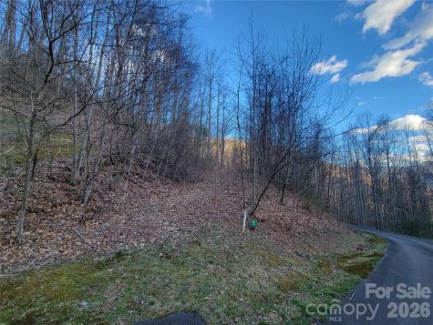 00 Rosewood Lane Maggie Valley NC 28751
