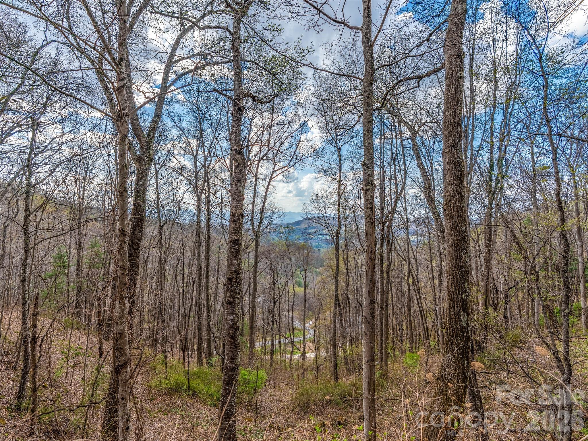34 Mountain Vista Drive Asheville NC 28804