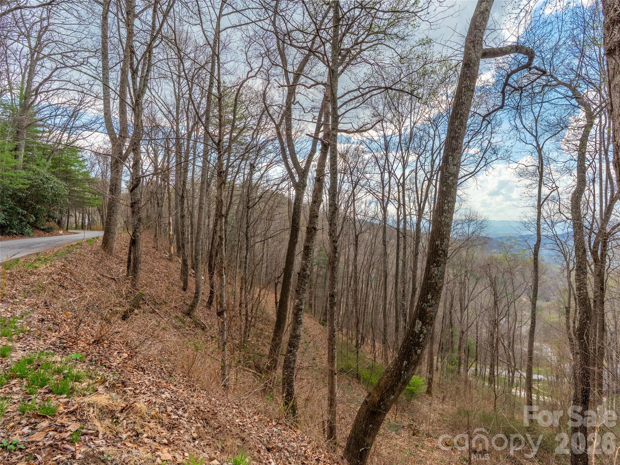 34 Mountain Vista Drive Asheville NC 28804