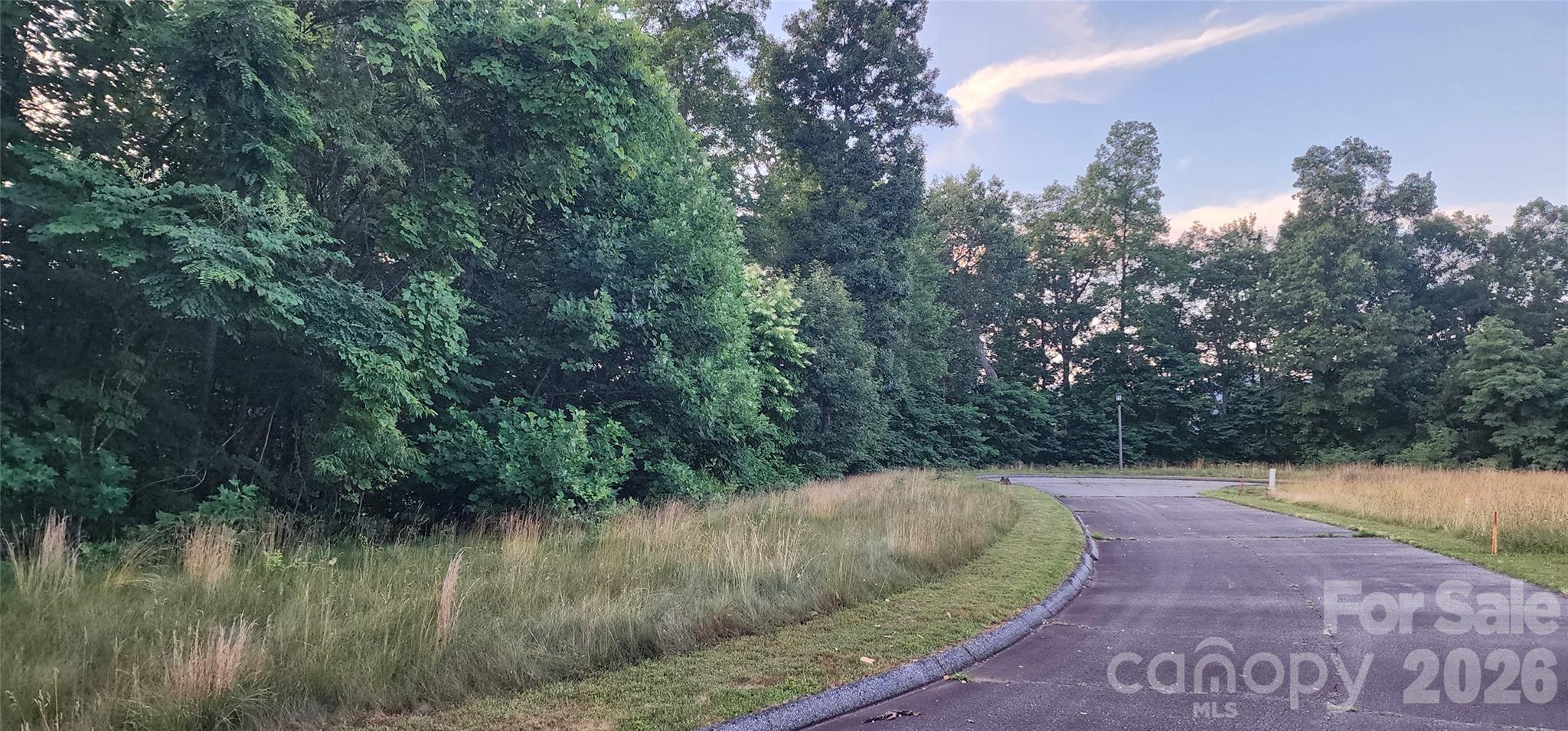 1-3 King Horn Ridge Waynesville NC 28785