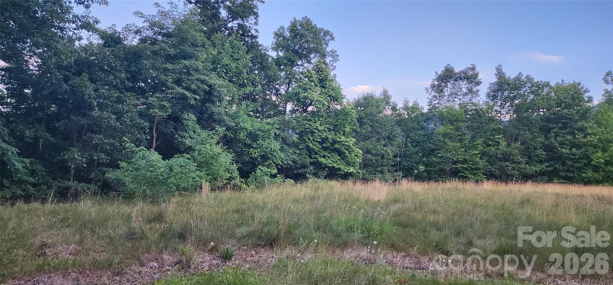 1-3 King Horn Ridge Waynesville NC 28785