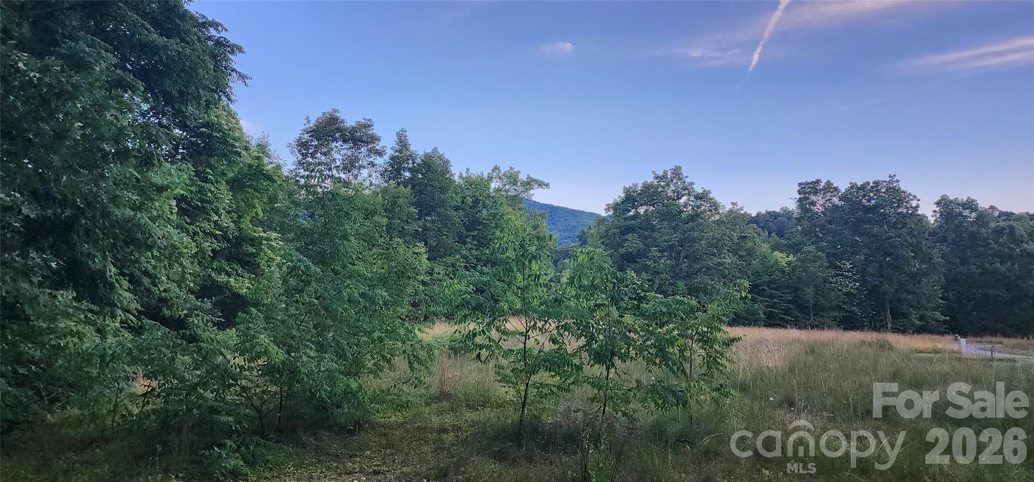 1-3 King Horn Ridge Waynesville NC 28785