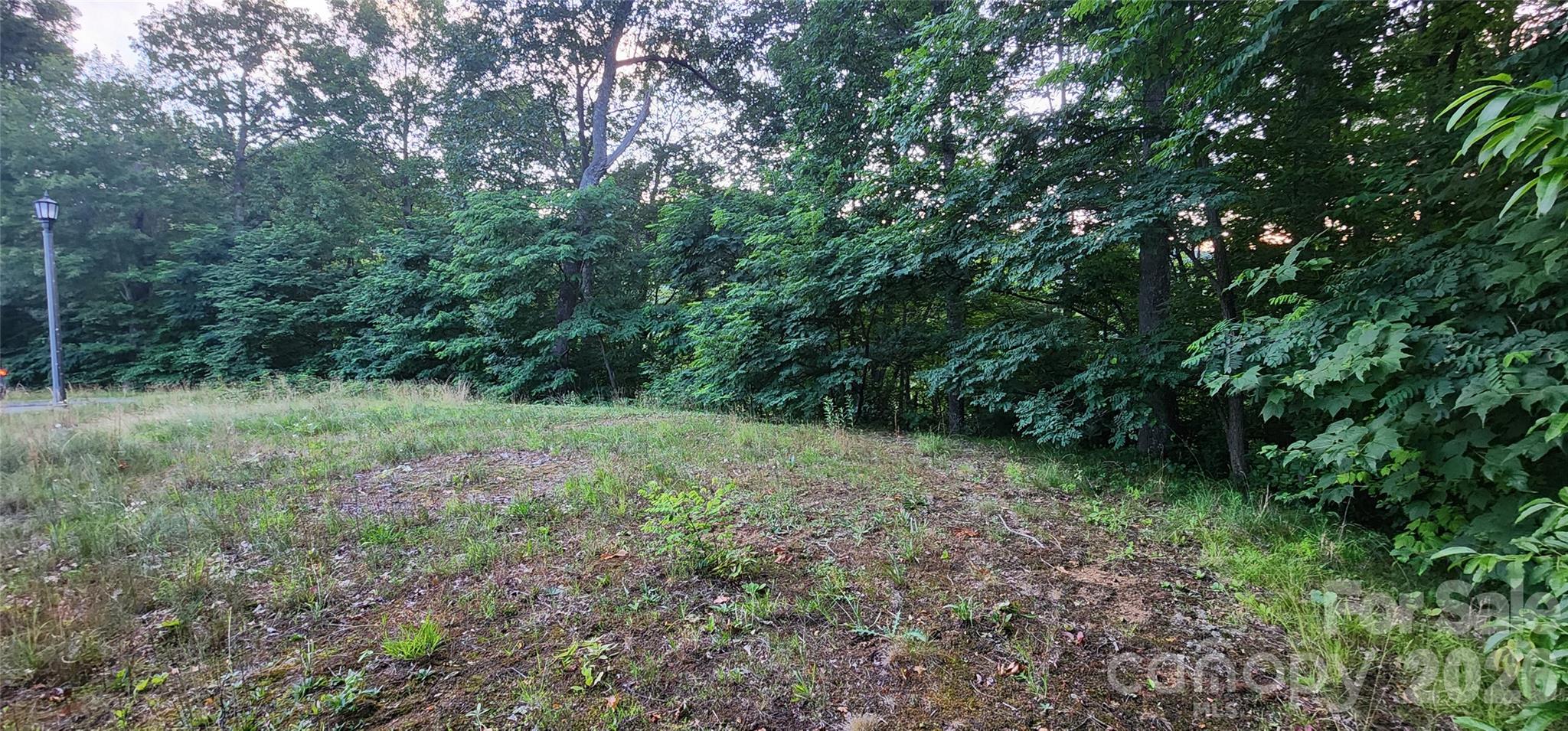 1-3 King Horn Ridge Waynesville NC 28785