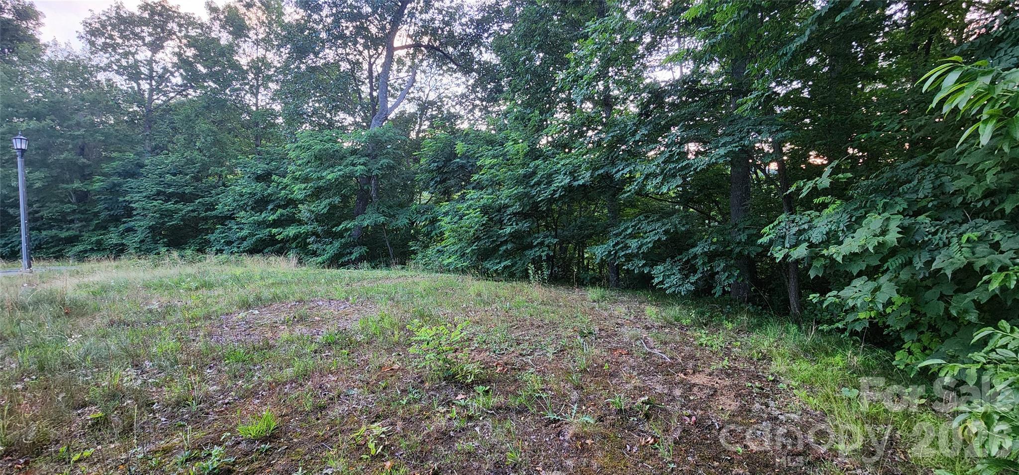 1-3 King Horn Ridge Waynesville NC 28785